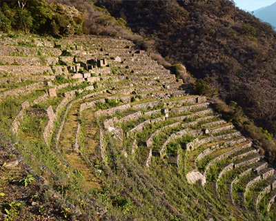 Platforms (Andenes) in the Archaeological site of Choquequirao