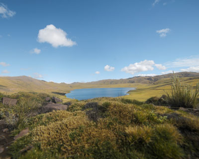 Qoricocha lagoon in the middle of grassland