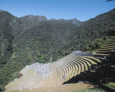 Panoramic view of the platforms at Wiñay Wayna Archaeological site