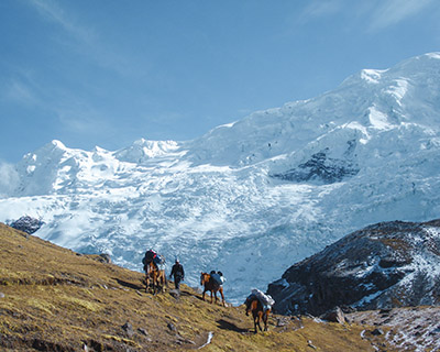 Muleteers and horses climbing with the background of the snowy Mountain of Ausangate