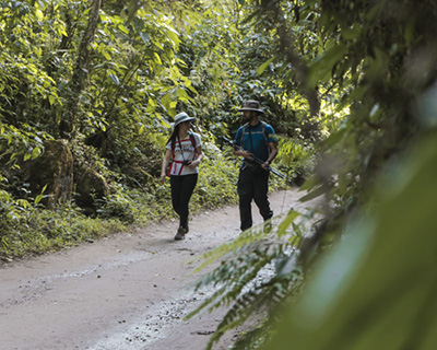 A beautiful image of the roads in the middle of the Cusco cloud forest